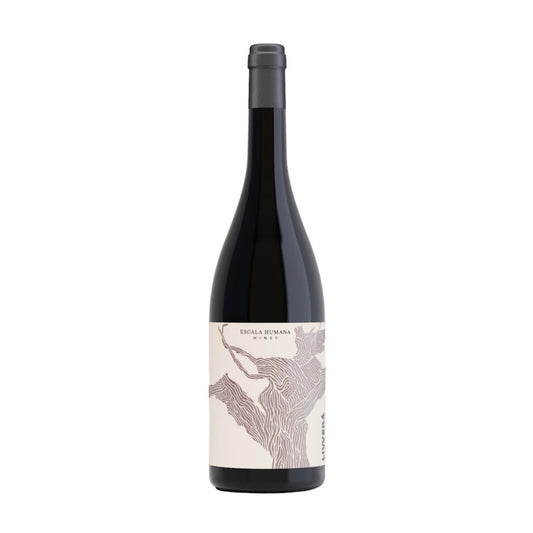ESCALA HUMANA WINES エスカラ ウマナ ワインズ - LIVVERÁ CABERNET SAUVIGNON 2022 リヴェラ カベルネ ソーヴィニヨン 2022 <new etiquette>